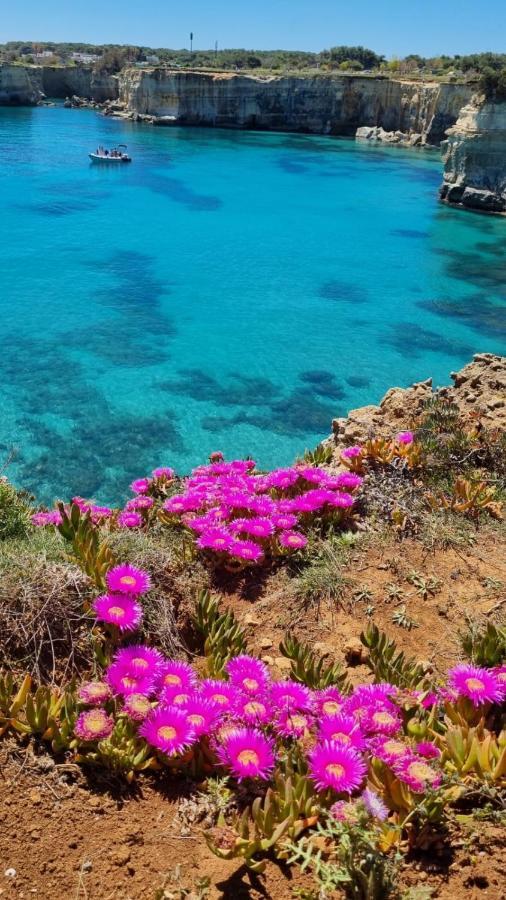 Casa Vacanze Afea Torre Dell'Orso Salento Puglia Esterno foto